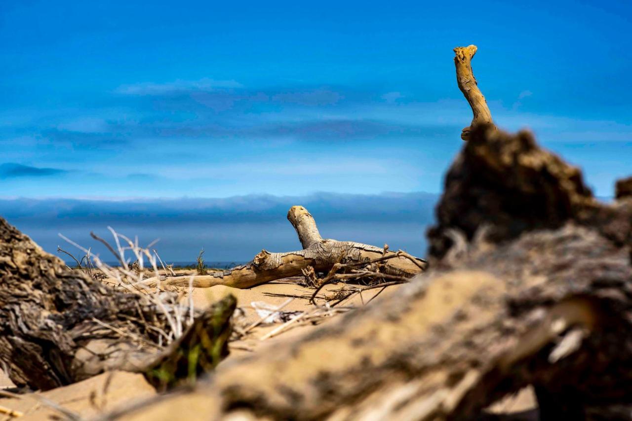 Shipwreck Lodge Mowebaai Exterior foto